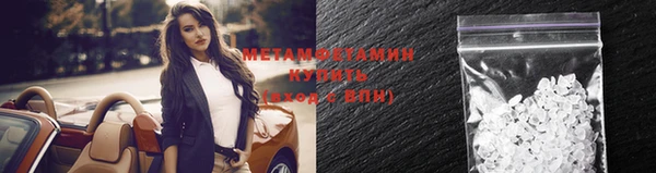 прущие грибы Пестово