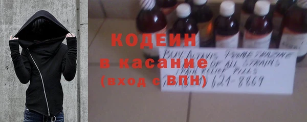прущие грибы Пестово