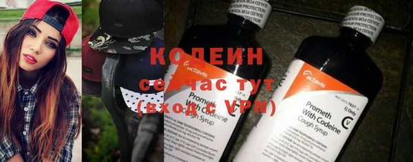 прущие грибы Пестово