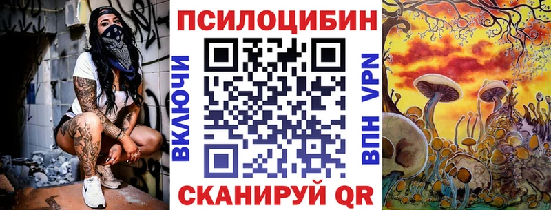 Псилоцибиновые грибы мицелий  Александровское 