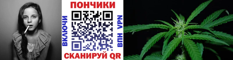 Каннабис сатива  Александровское 